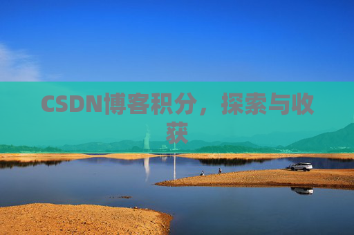 CSDN博客积分,探索与收获